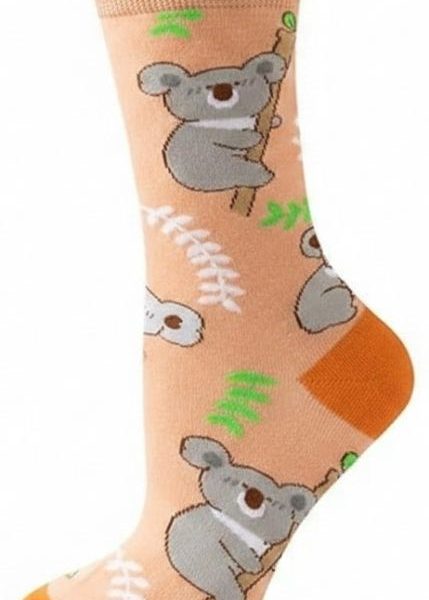 Sokken koala 36-43